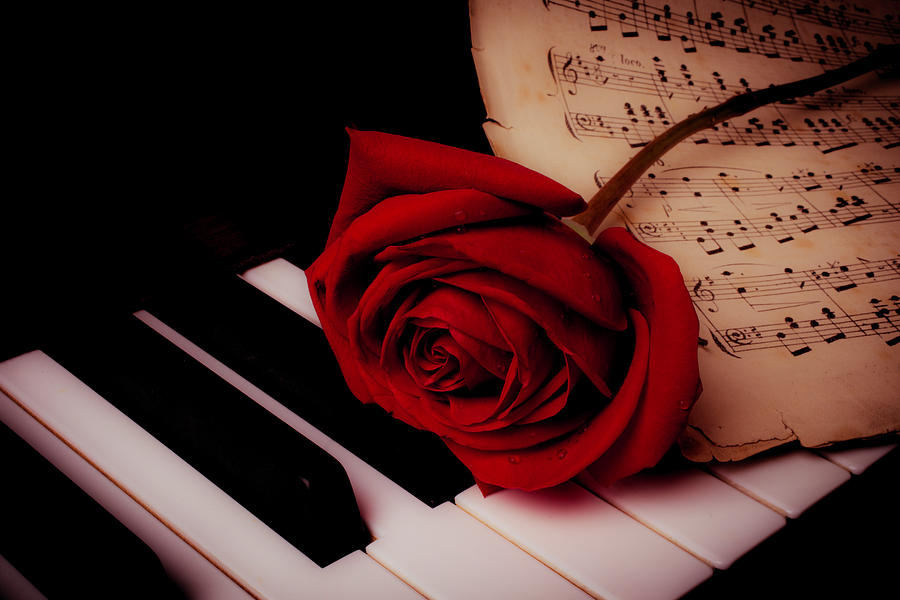 Piano Photograph - Rose With Sheet Music On Piano Keys by Garry Gay