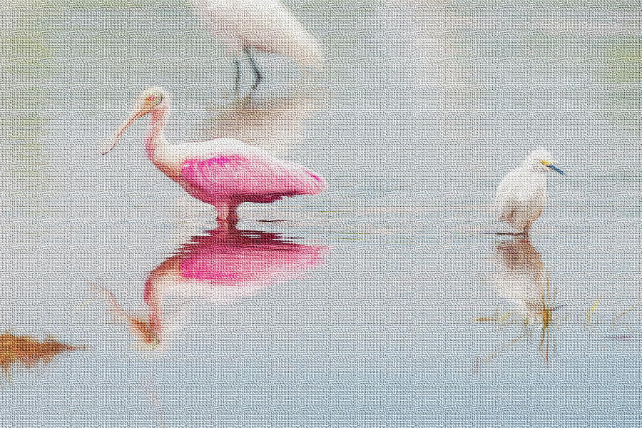 Roseate spoonbill eating in a lagoon Photograph by Dan Friend