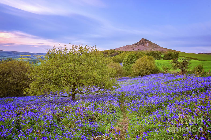 Roseberry Topping Photograph