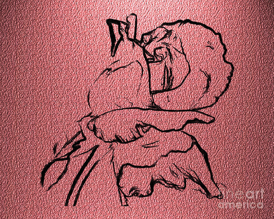 Rosebud On Pink Digital Art by Smilin Eyes Treasures