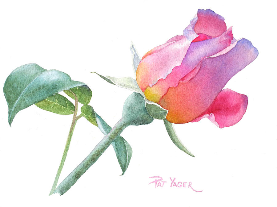 Flower Painting - Rosebud Sir Walter Raleigh by Pat Yager