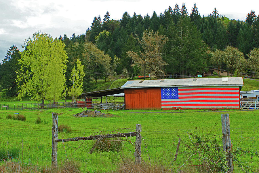 Roseburg Patriot Photograph by Dr Janine Williams