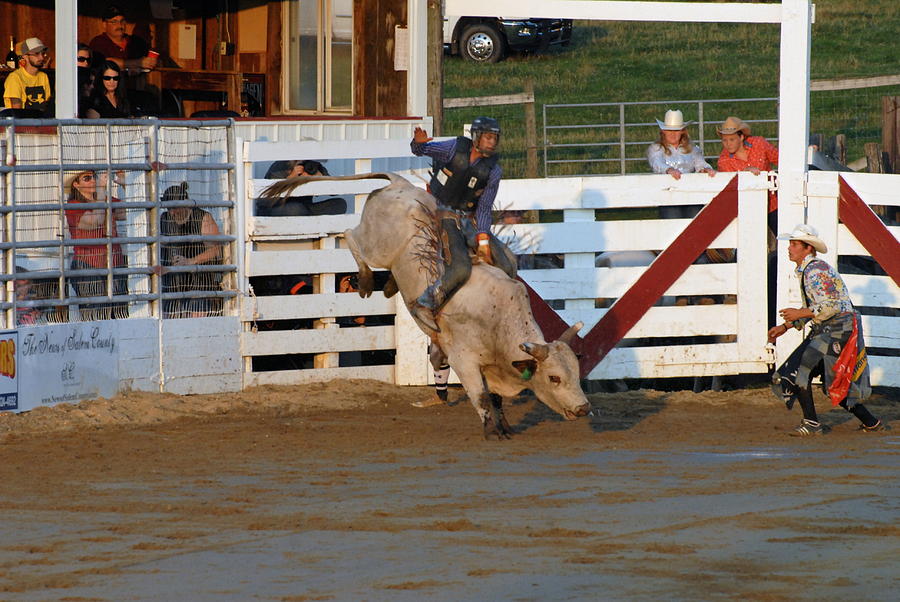 Rodeo 338 Photograph by Joyce StJames