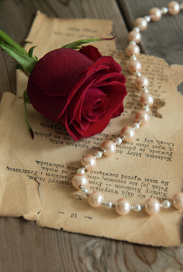beautiful roses with pearls