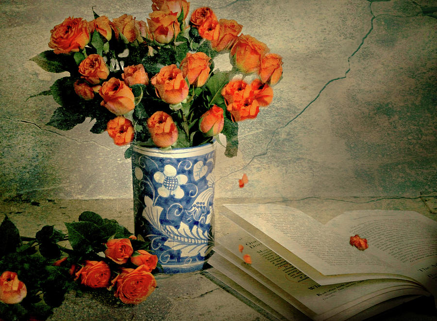 Roses and Read Photograph by Diana Angstadt