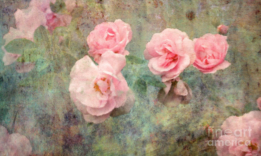 Rose Photograph - Roses and Romance by Liz Alderdice