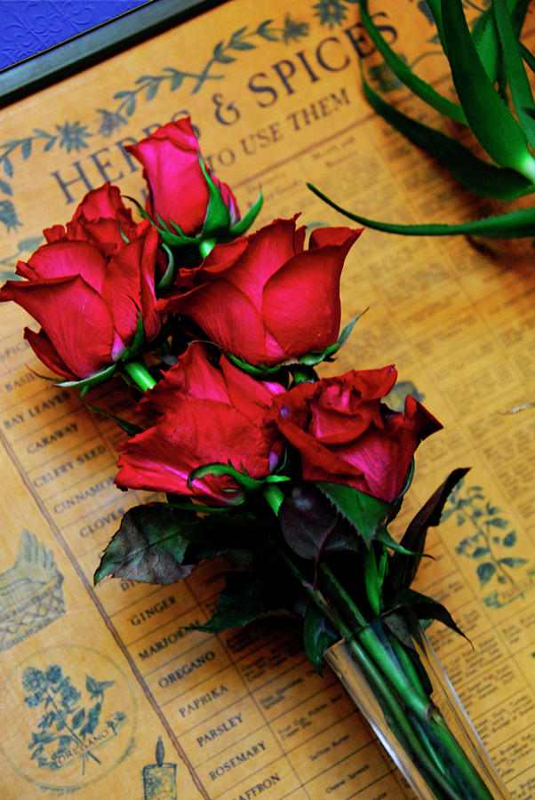 Roses And Spice Photograph by Priscilla Huber
