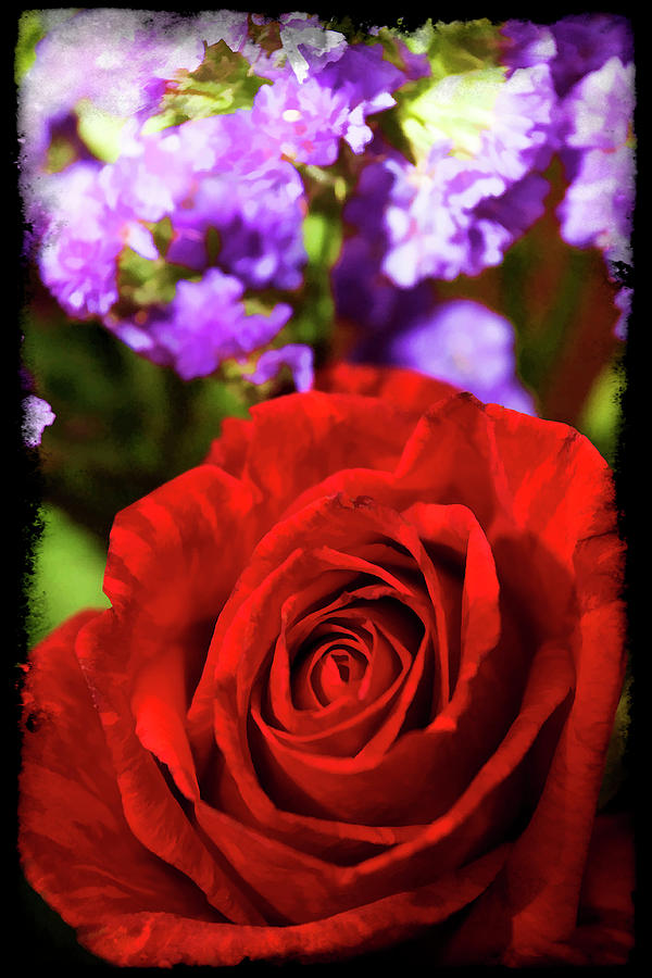Nature Photograph - Roses Are Red II by Ricky Barnard