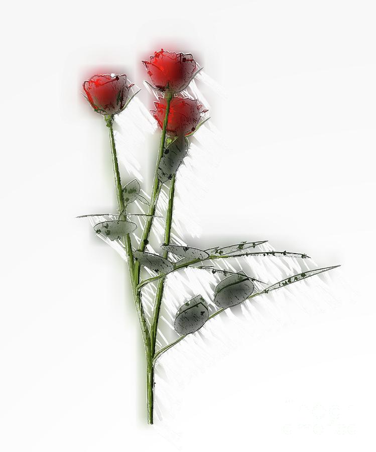 Roses Are Red Digital Art