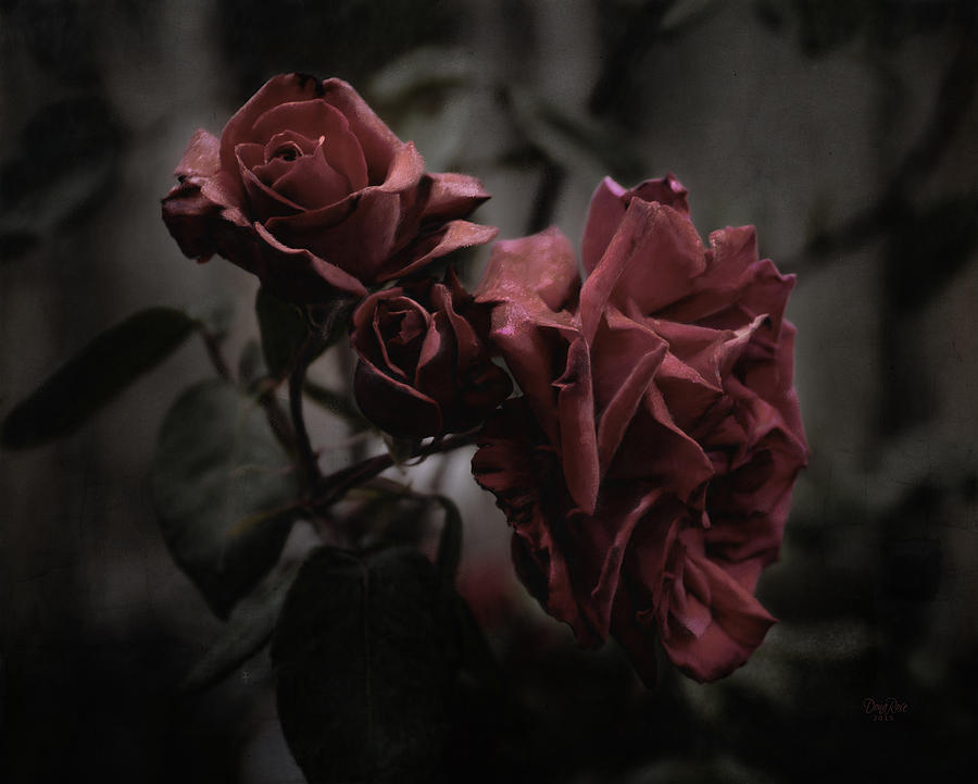 Rose Painting - Roses at Sundown by   DonaRose