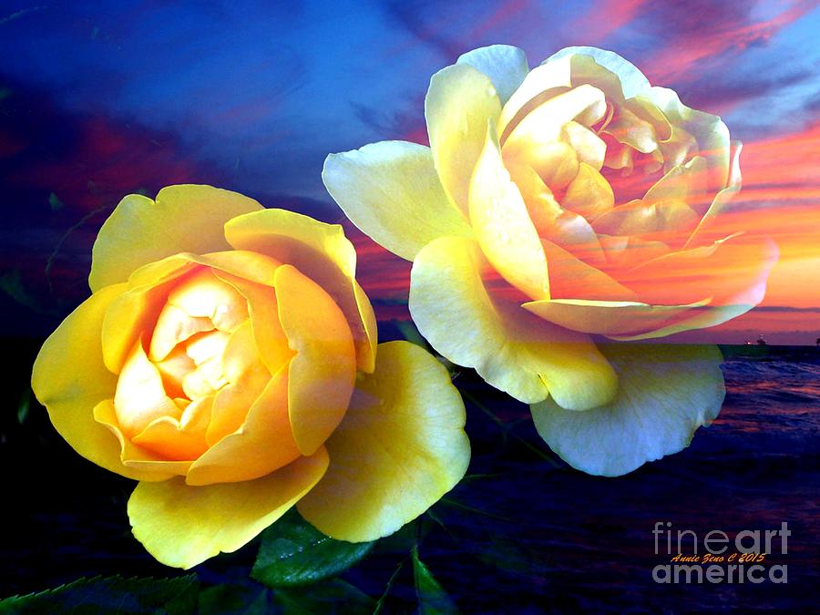 Rose Photograph - Roses Basking In A Ocean Sunset by AZ Creative Visions