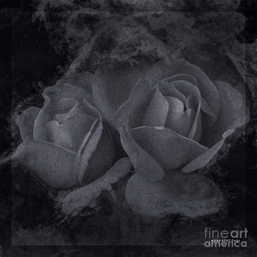 Roses White Black Mixed Media by Mona Stut