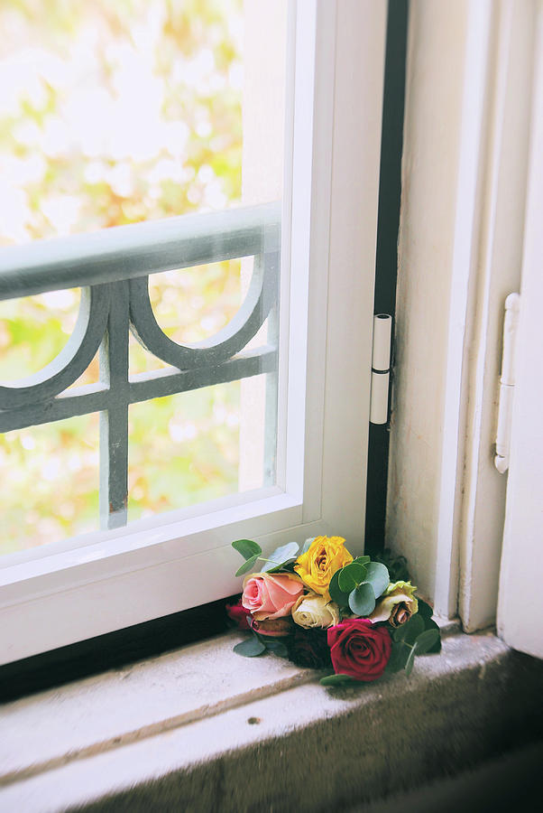 Roses by the Window Photograph by Carlos Caetano