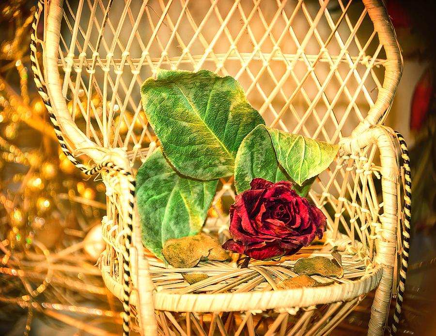 Roses Chair Photograph by Camille Lopez