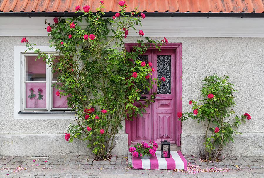 Rose Photograph - Roses decorating the house entrance by GoodMood Art