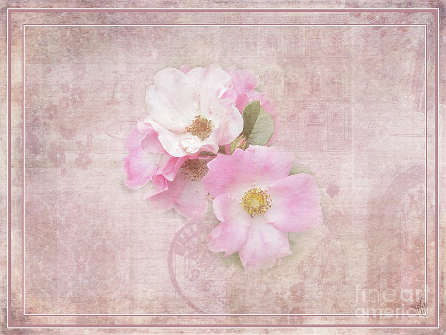 Roses Eternal Digital Art by Victoria Harrington
