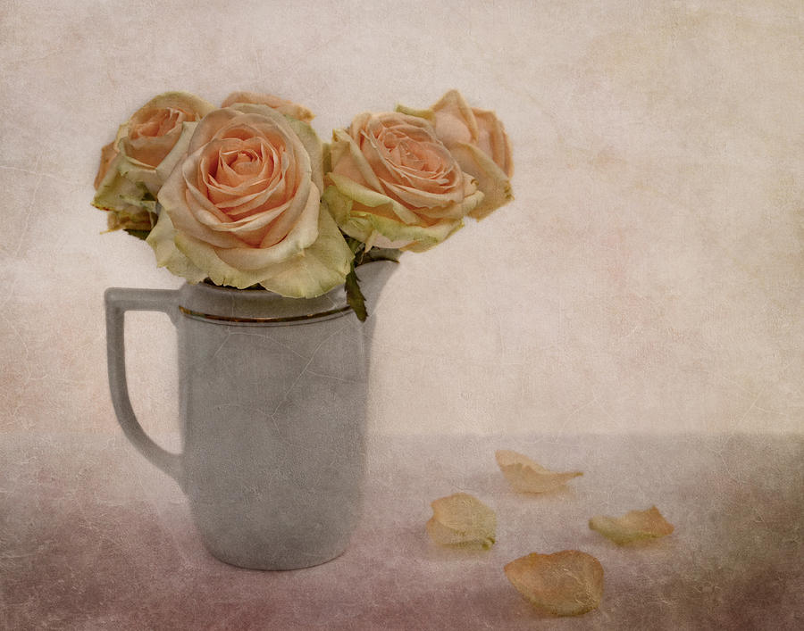 Roses for Grandma Photograph by Claudia Moeckel - Fine Art America