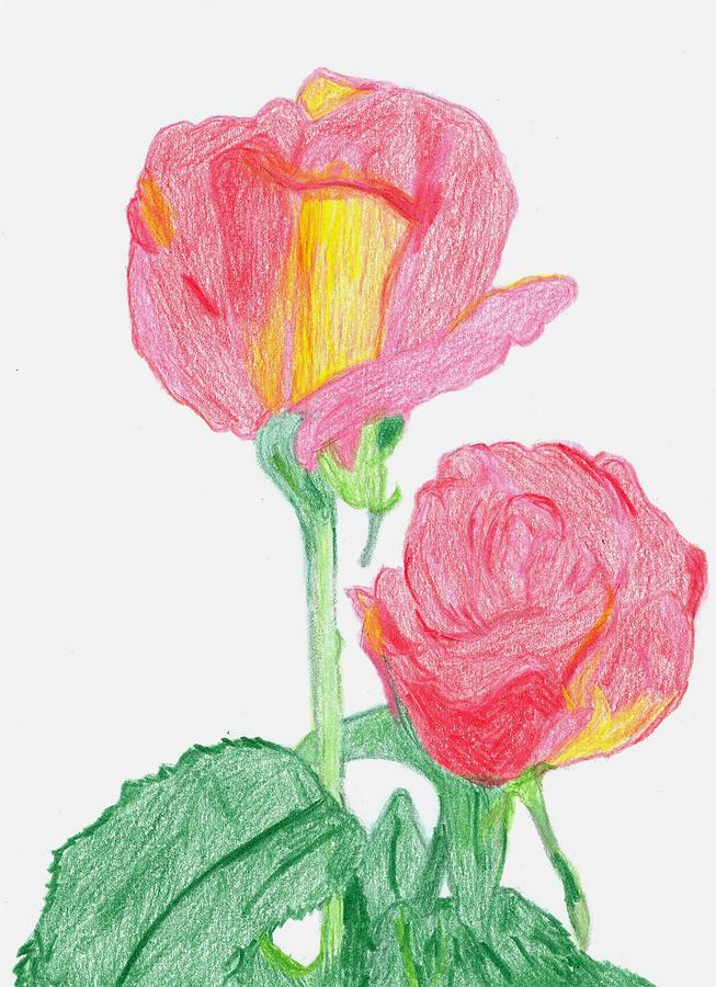 Roses for Mom Drawing by Lila Mattison