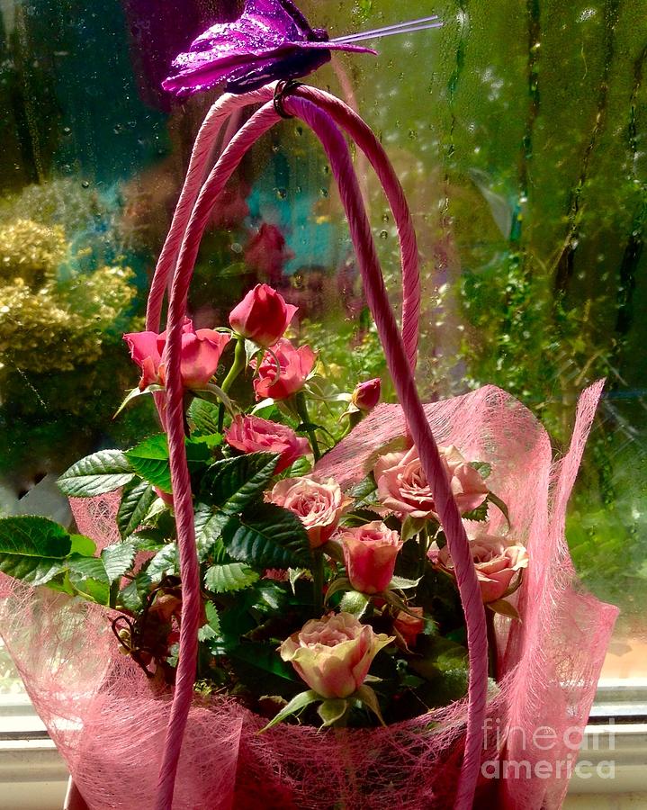 Roses Gift Bag Photograph