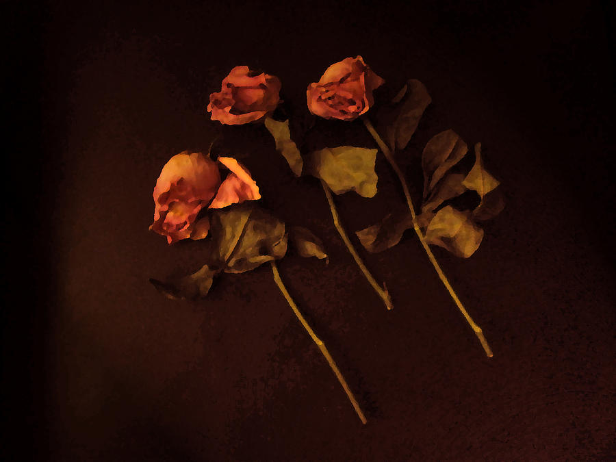 Roses In Amber Light Photograph by Cedric Hampton