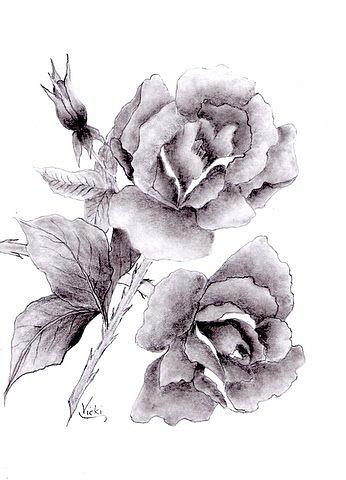 Roses in Full Bloom Drawing by Vicki Thompson