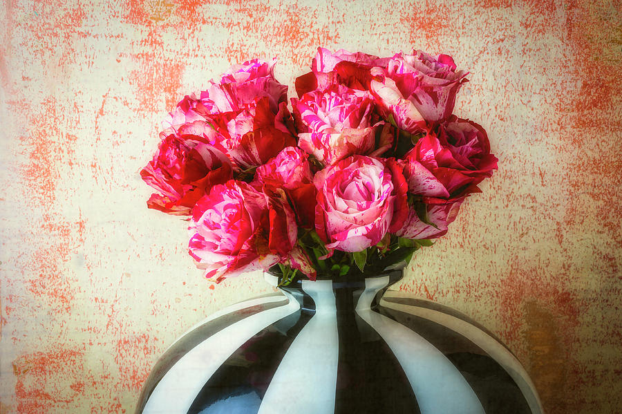Roses In Large Black And White Vase Photograph by Garry Gay