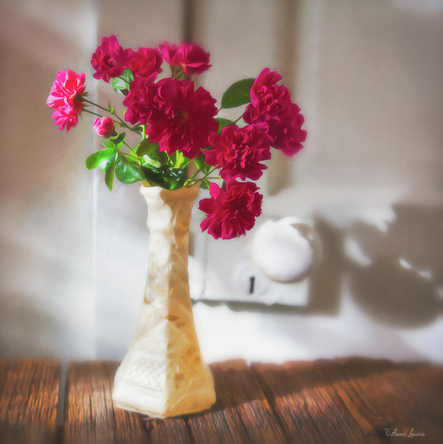 Roses in Morning Light and Shadow Photograph by Anna Louise