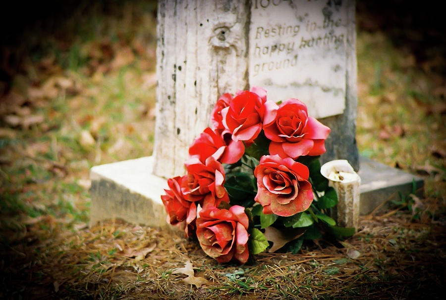 Rose Photograph - Roses on a Grave by Jonathan  Daniels