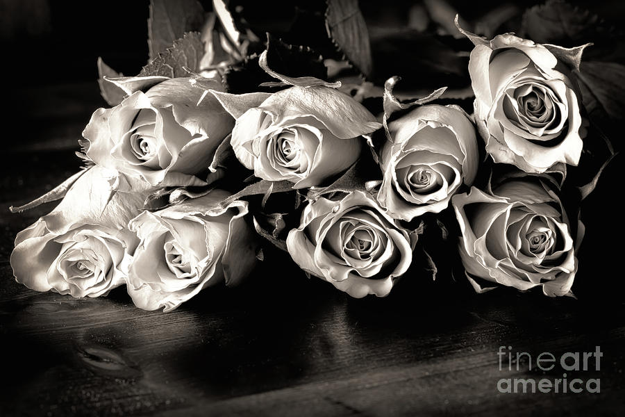 Roses on a table in black and white Photograph by Simon Bratt