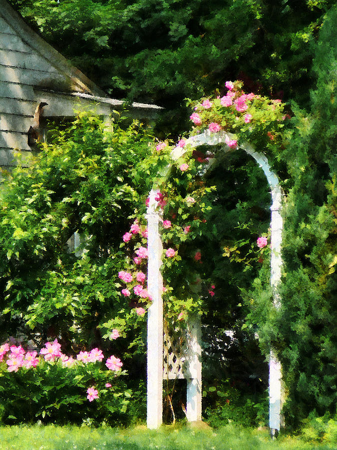 Rose Photograph - Roses On Trellis by Susan Savad