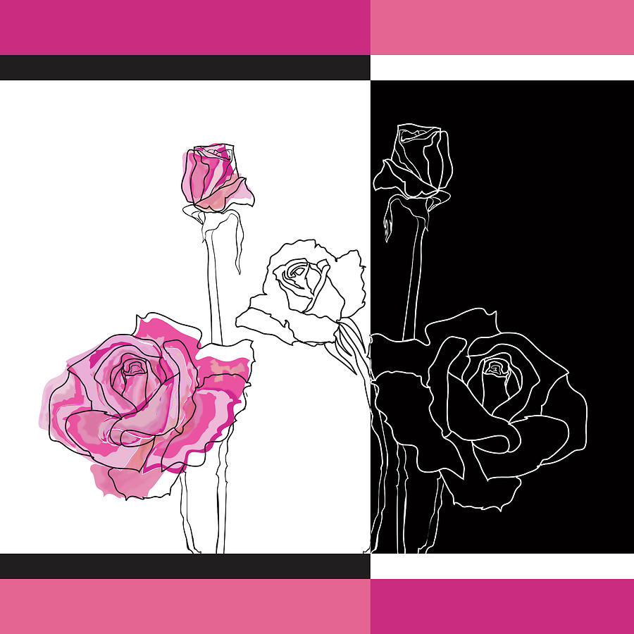 Roses positive and negative Drawing by Maria Biro Pixels