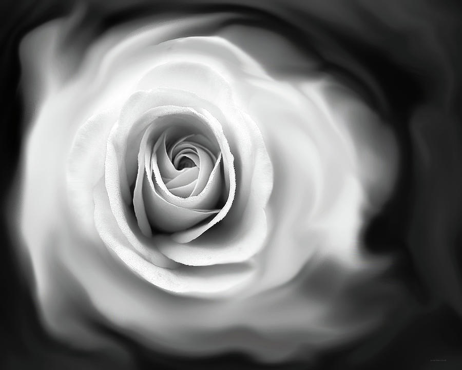 Abstract Photograph - Roses Whisper Black and White by Jennie Marie Schell