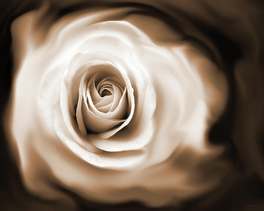 Roses Whisper Sepia Photograph by Jennie Marie Schell