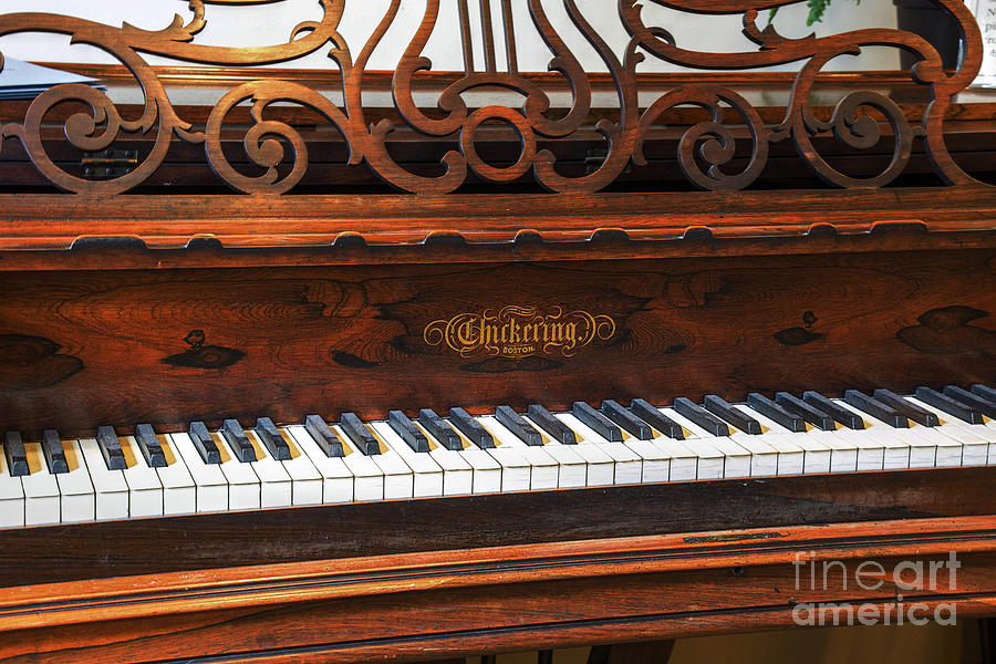Rosewood Piano Photograph by Sharon McConnell