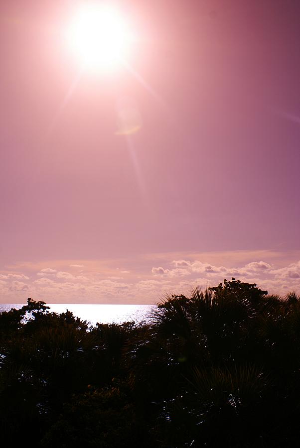Rosey Sun Photograph by Florene Welebny