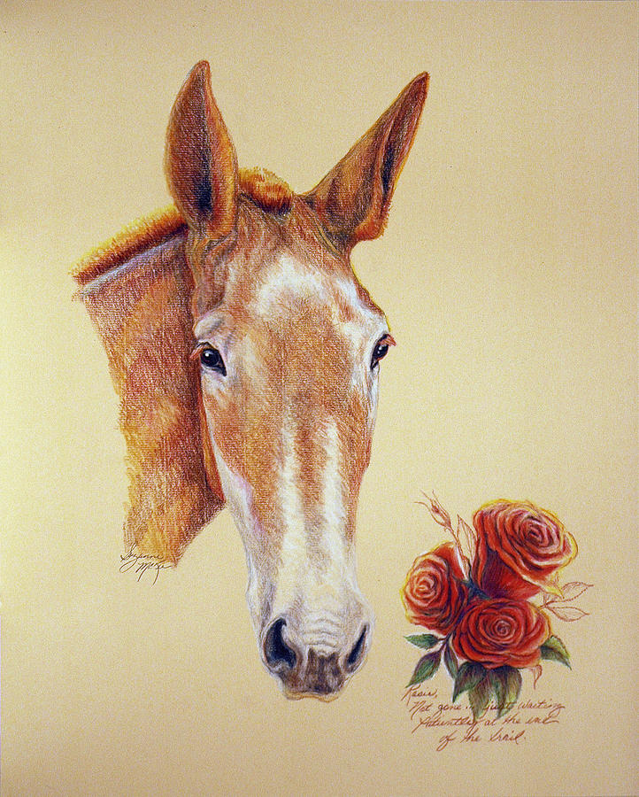Rosie Drawing by Suzanne McKee