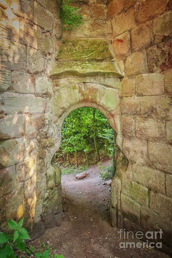 Rosslyn Castle Forest Entry Photograph by Antony McAulay