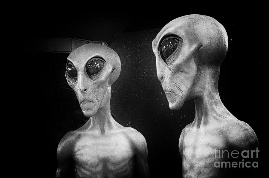 Aliens and UFO 4 Photograph by Bob Christopher
