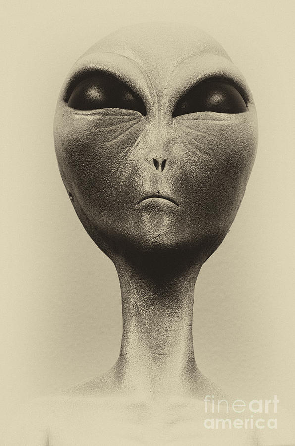 Aliens and UFO 2 Photograph by Bob Christopher
