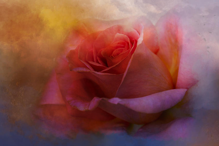 Rosy Dawn Digital Art by Terry Davis