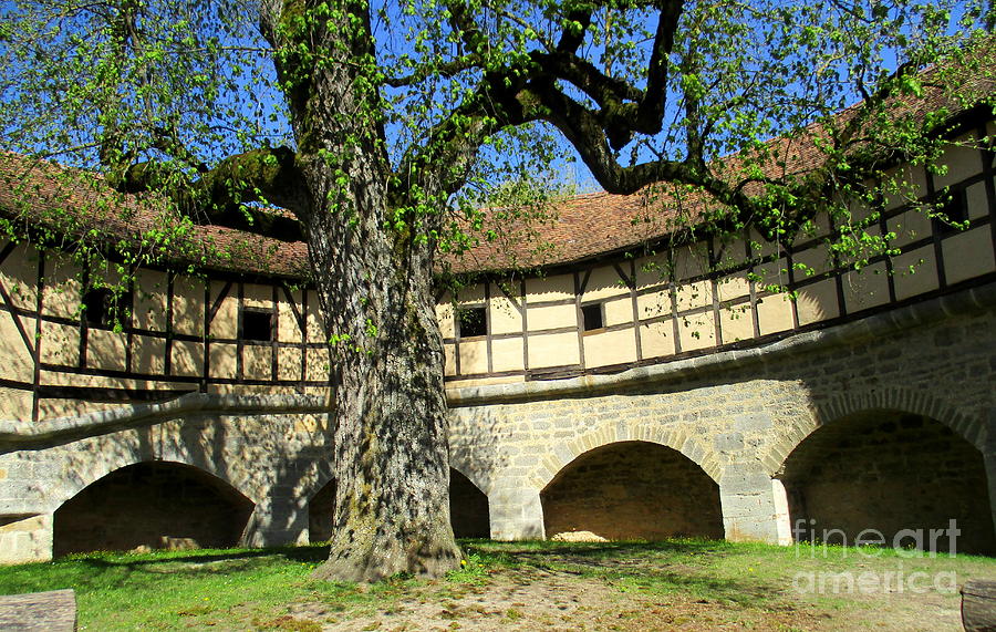 Rothenburg 3 Photograph by Randall Weidner