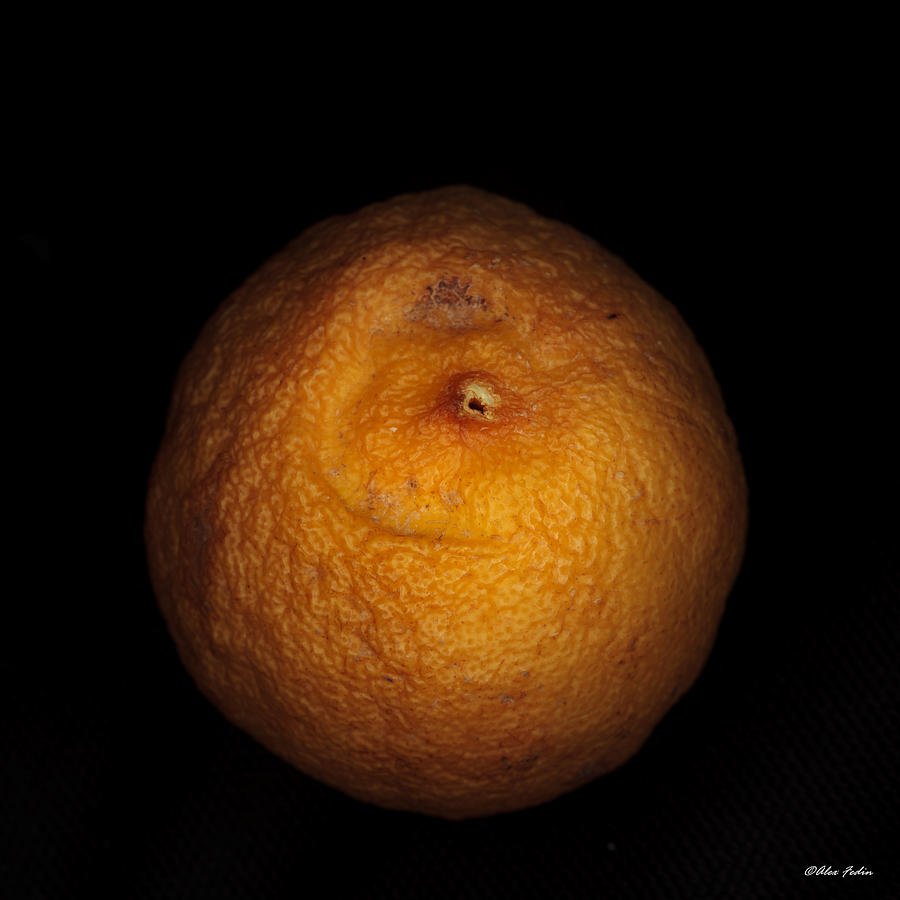 Rotten Lemon Photograph by Alexander Fedin