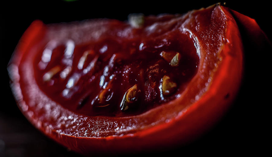 Rotten Tomato Photograph by Hyuntae Kim