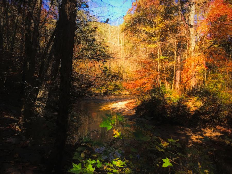 rottenwood creek ravine video