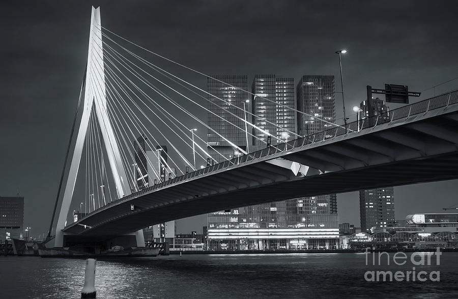 Rotterdam Cityscape 1 Photograph by Philip Preston