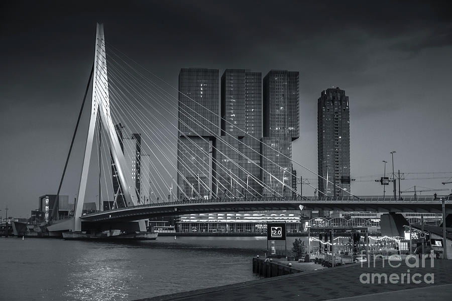 Rotterdam Cityscape 3 Photograph by Philip Preston