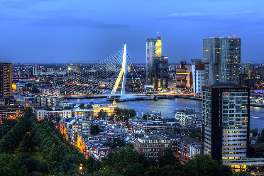 Rotterdam Skyline with Erasmus Bridge Photograph by Shawn Everhart