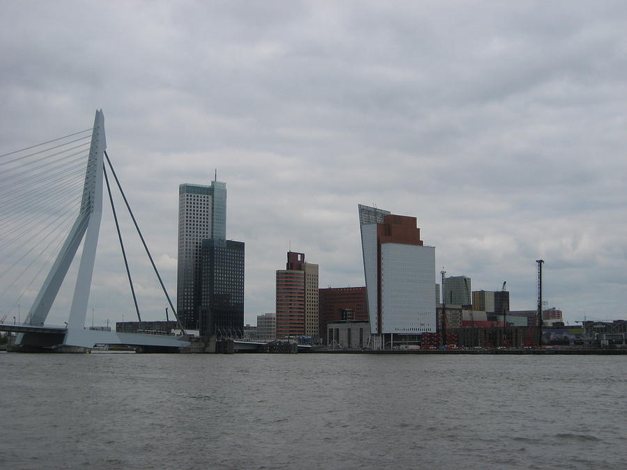 Rotterdam What A View Photograph by Trent Jackson