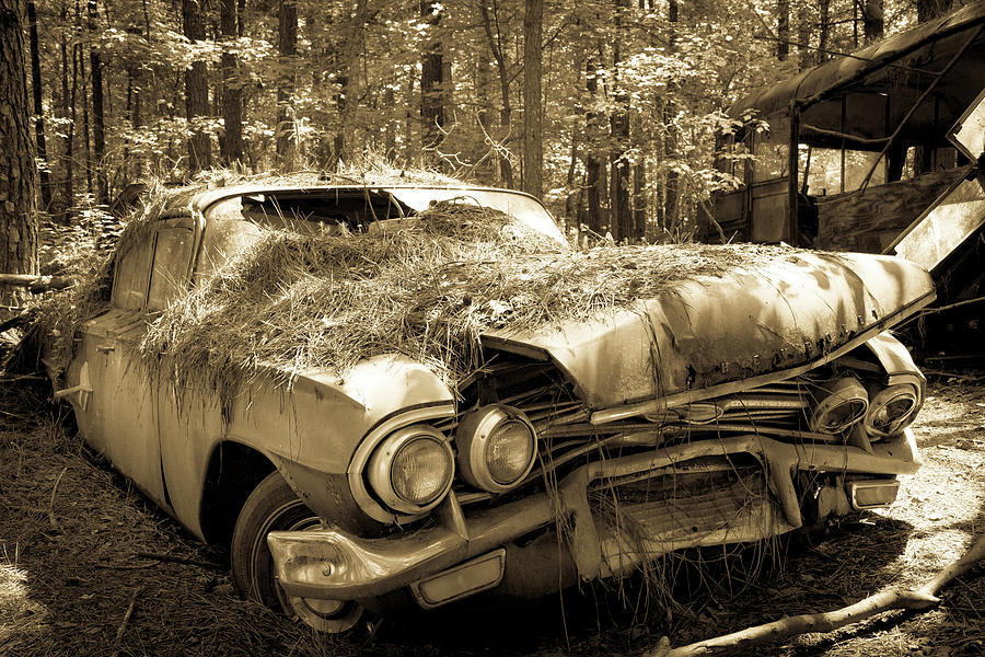 Abandoned Photograph - Rotting Classic by Lindy Grasser Abandoned Photograph - Rotting Classic by Lindy Grasser
