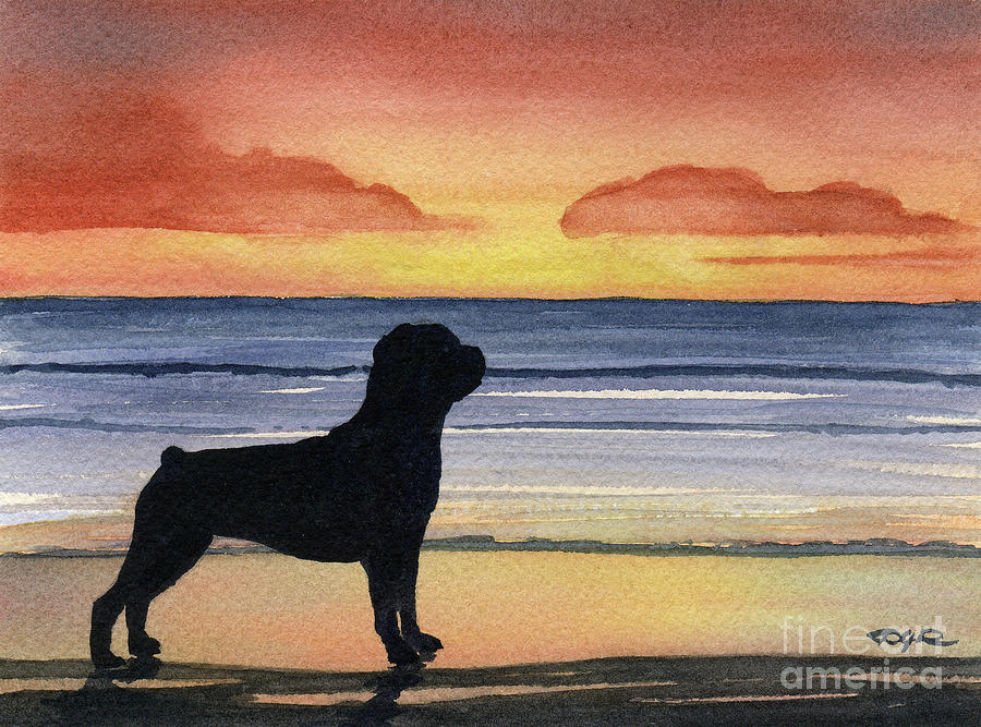 Sunset Painting - Rottweiler at Sunset by David Rogers